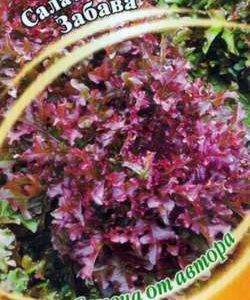 Салат Забава 1,0 г красный,хрустящий автор.