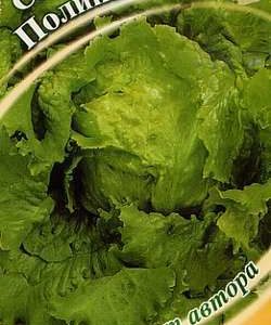 Салат Полина 0,5 г кочанный,хрустящий автор.