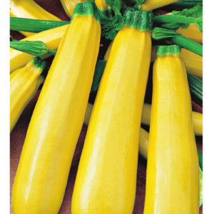 Кабачок Желтоплодный 2 г