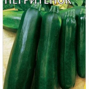 Кабачок Негритенок 2 г