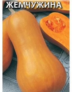 Тыква мускатная Жемчужина 2,0 г