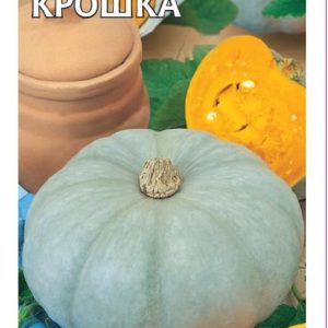 Тыква Крошка 2,0 г