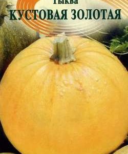 Тыква Кустовая золотая 2,0 г