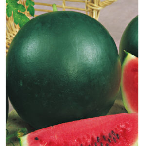 Арбуз Огонек 1,0 г сер. Традиция