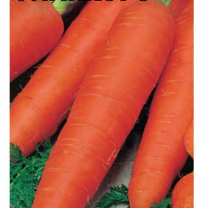 Морковь Флаккоро 2,0 г