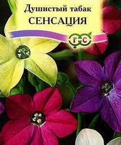 Табак Сенсация, крылатый*, смесь 0,1 г серия Сад ароматов