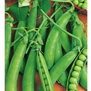 Горох Юрга 10 г