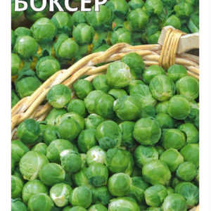 Капуста брюссел. Боксер автор. 0,2 г Н11