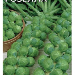 Капуста брюссел. Розелла* 0,1 г Н9