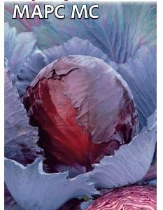 Капуста краснокоч. Марс МС 0,3 г сер. Огород без хлопот