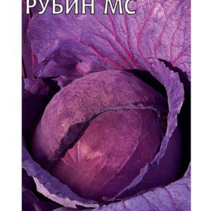 Капуста краснокоч. Рубин 0,3 г