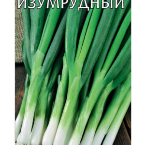 Лук батун Изумрудный 1 г Н10