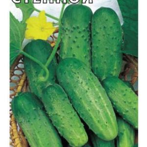 Огурец Степной 0,5 г