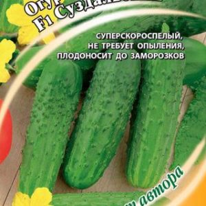 Огурец Суздальский F1 10 шт.корнишон автор.