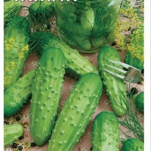 Огурец Чижик F1 0,5 г Н11