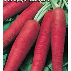 Редька Ладушка 1,0 г