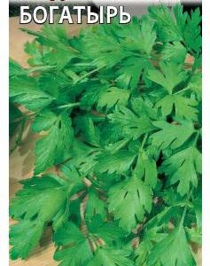 Петрушка универсальная Богатырь 2,0 г