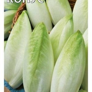 Цикорий салатный (Витлуф) Конус* 0,1 г