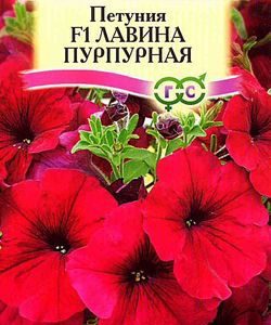 Петуния Лавина Пурпурная F1амп. пробирка 10 шт.
