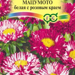 Астра Мацумото белая с роз. краем 0,3 г
