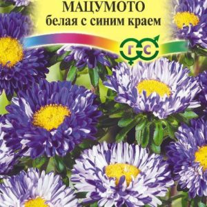 Астра Мацумото белая с син. краем 0,3 г