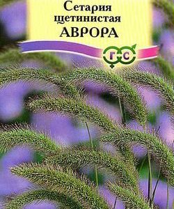 Сетария щетинистая Аврора 1,0 г