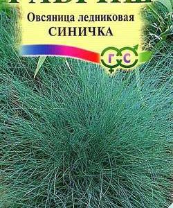 Овсяница ледниковая Синичка 0,1 г сер. Альпийская горка