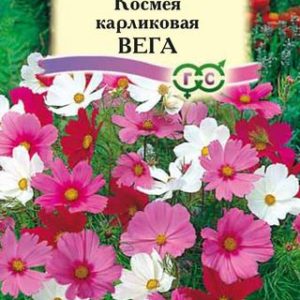 Космея Вега 0,5 г