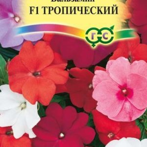Бальзамин Тропическая Уоллера смесь гибридов * 5 шт.