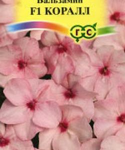Бальзамин Уоллера F1 Коралл * 5 шт.
