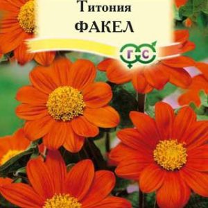 Титония Факел 0,5 г