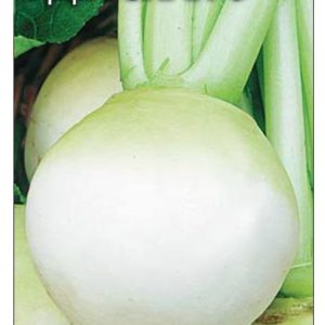 Редька Одесская 5 2,0 г сер. Традиция