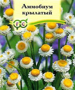 Аммобиум крылатый 0,2 г