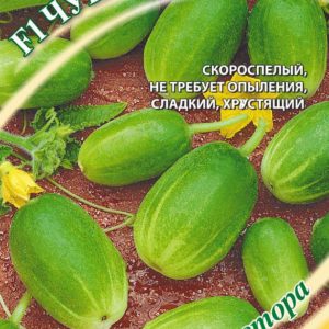 Огурец Чупа-Щупс F1 5 шт. автор.