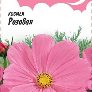 Космея Розовая 0,3 г , серия Розовые сны