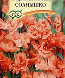 Кларкия Солнышко* 0,1 г