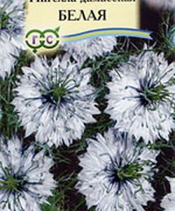 Нигелла Белая дамасская 0,5 г