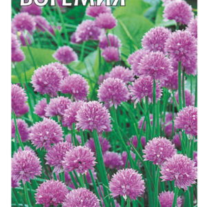 Лук шнитт Богемия 0,5 г