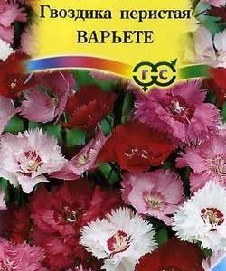 Гвоздика перистая Варьете, смесь 0,2 г сер. Альпийская горка