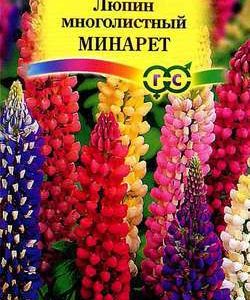 Люпин Минарет, низкоросл. смесь 0,5 г