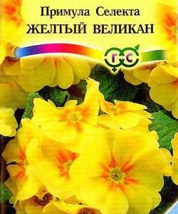 Примула Желтый Великан* 10 шт. сер. Альпийская горка