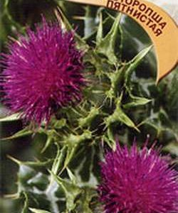 Расторопша пятнистая Панацея 1,0 г