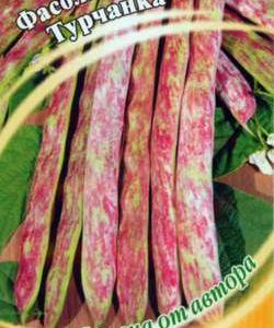 Фасоль Турчанка 10 шт. автор.