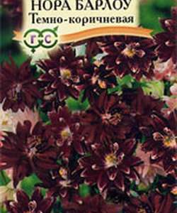 Аквилегия Нора Барлоу* 10 шт.