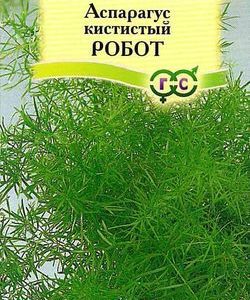 Аспарагус кистистый Робот 0,3 г