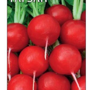 Редис Тарзан 1,0 г (Голландия)