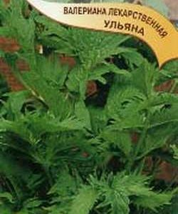 Валериана Ульяна* 0,15 г