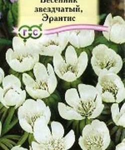 Весенник звездчатый Соната* 0,01 г