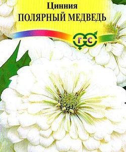 Цинния Полярный медведь изящная 0,3 г