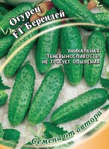 Огурец Берендей F1 10 шт. автор.